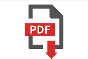 pdf file 